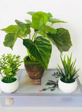 Artificial Plants Aloe Vera Millet Grains Bonsai Small Tree