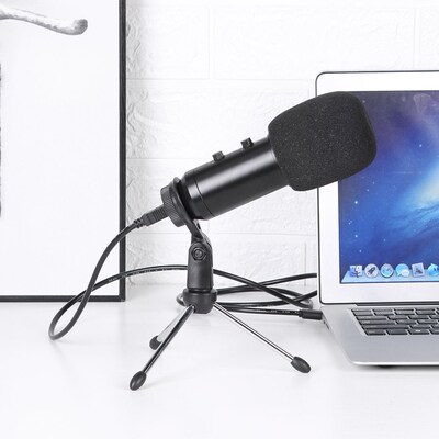 Condenser Mic for Studio Recording Live Conference Intervie