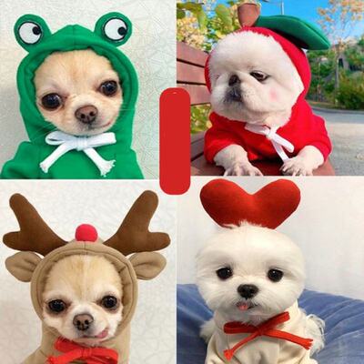 Cute Dog Clothes For Small Medium Dogs Knitted Winter Warm C