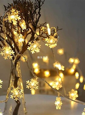 3M/6M Snowflake Christmas Fairy Lamp Led Lights Decoration F