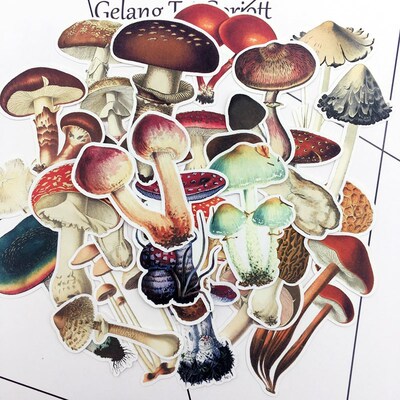 25pcs Hand Drawing Colorful Mushroom sticker dry glue Notebo