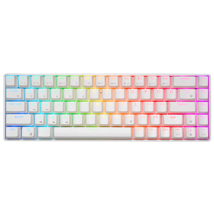 MK14 ROYAL KLUDGE 68键 (RK855) RGB Wireless 60% CompactMecha