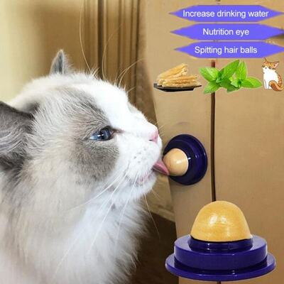 3/5Pcs Healthy Cat Snacks Cat Nip Sugar Candy ------Gigante