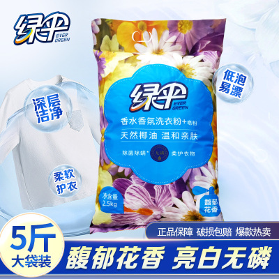 绿伞洗衣粉皂粉2.5kg*1袋衣物洗护清洁去污香味持久留香家庭装