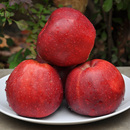 正宗花牛红星粉苹果5斤整箱新鲜面水果批发香甜多汁老人宝宝辅食