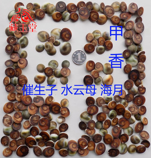 泡酒料甲香 催生子250克吹生子 水云母 海月 海螺盖 滋补泡酒煲汤