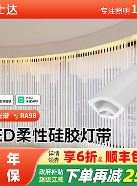 LED硅胶防水灯槽霓虹套管灯条弧形圆形柔性线条灯12v嵌入式软灯带