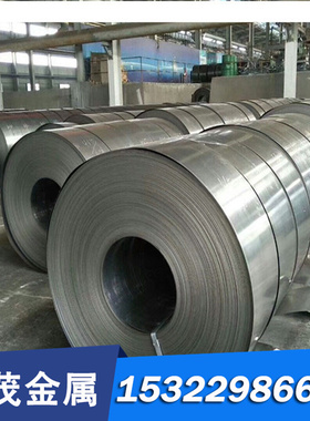 15S10 15S20 35SPb30易切削钢ASTM12L14 16MnCr5扁钢 15S22易车铁