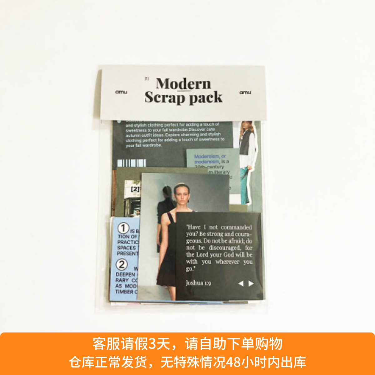 ●JY杂货●国内现货韩国amu复古写真人物贴纸 手帐拼贴装饰ins风