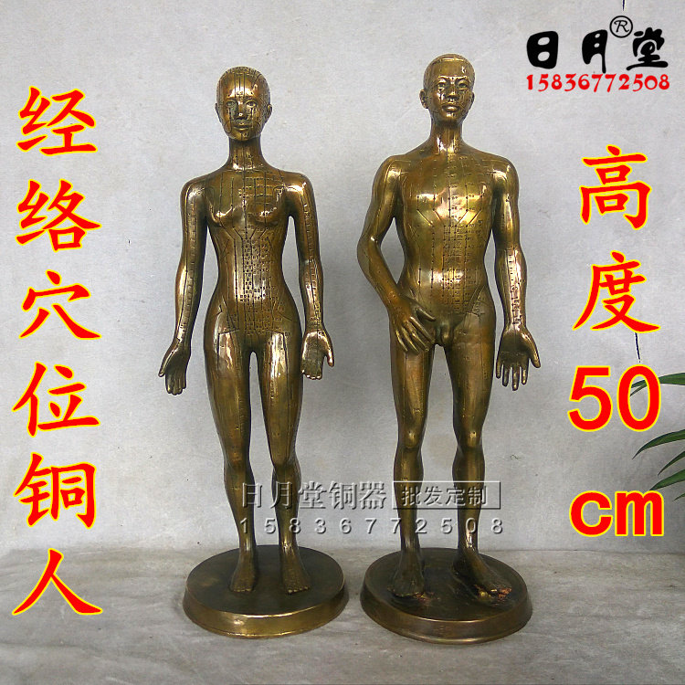 穴位脉络走向男女铜人艾灸模型