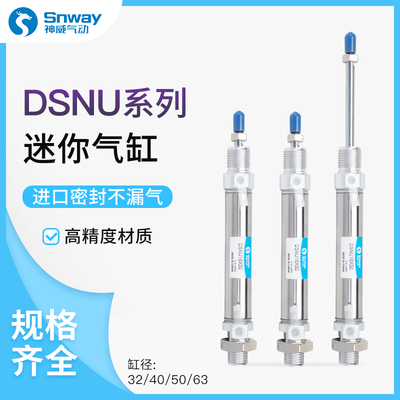 神威气缸DSNU-12-16-20-25-32-40-50-63-15-30-60-100-P-A/PPV-A