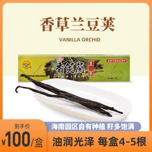 兴科双A级高品香草荚Vanilla云尼拿枝植物食品香料烘焙