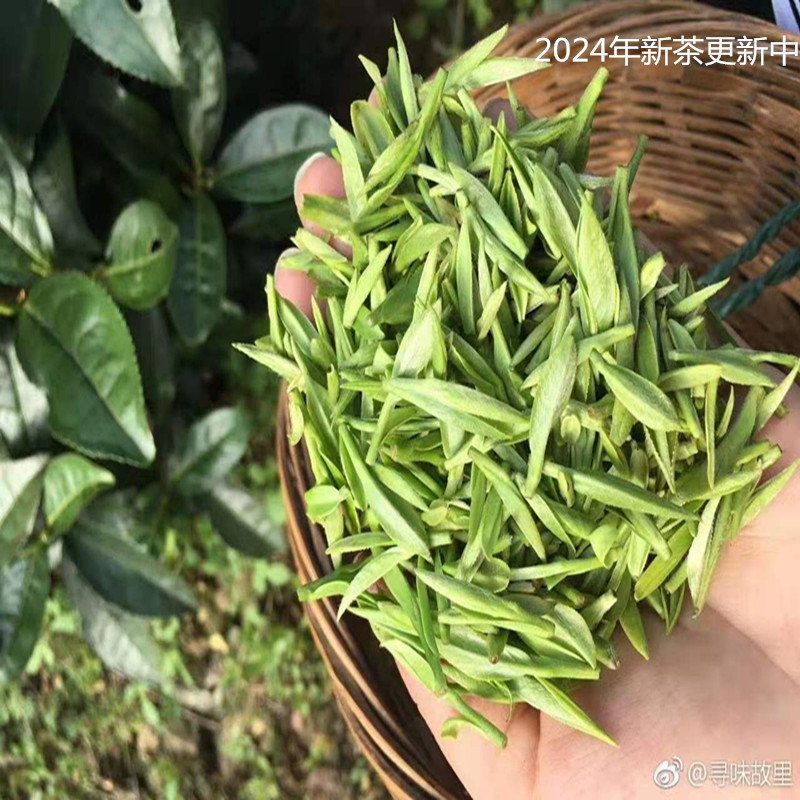 预定兰香深山手工250g春茶