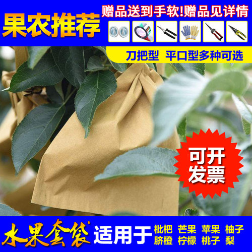 枇杷芒果专用桃子柚子梨专用套袋