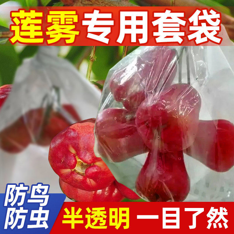 莲雾释迦果专用套袋黑金刚佛头果凤梨黑珍珠莲雾套袋防虫防水专用