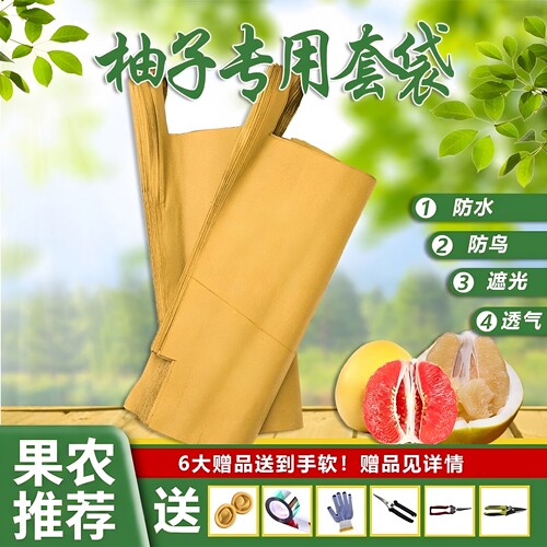 柚子专用套袋防虫防水防晒专用袋