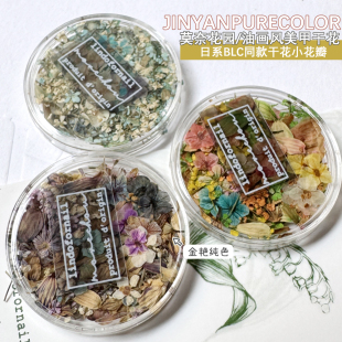 日式 ins风美甲干花莫奈花园油画配色小花碎花混合diy材料指甲饰品