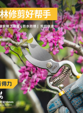 剪枝剪刀园林剪刀花艺修剪