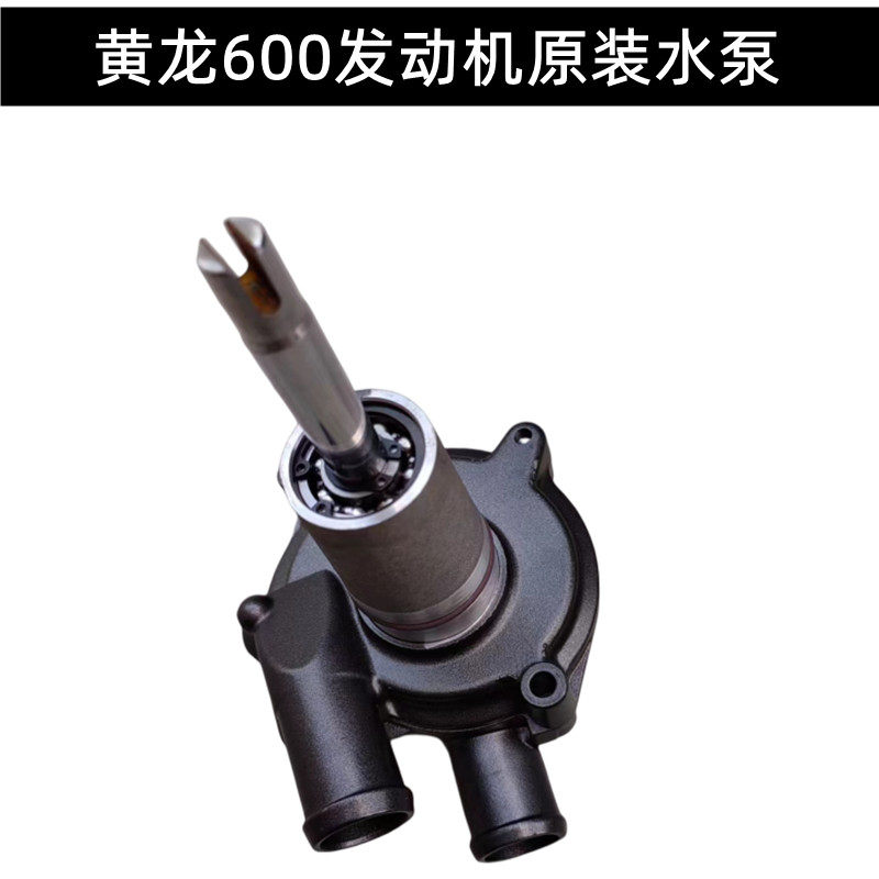 适用贝纳利黄龙600摩托车发动机配件黄龙BJ600GS-3水泵原装水封