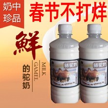 2斤骆驼奶新疆哈萨克族骆驼鲜奶骆驼奶纯奶顺丰空运新鲜牧场直供
