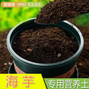 海芋专用土黑天鹅萨利安土肥料白犀牛绿天鹅绒土壤海芋专用营养土
