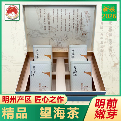 精品望海茶礼盒装120克2026新茶