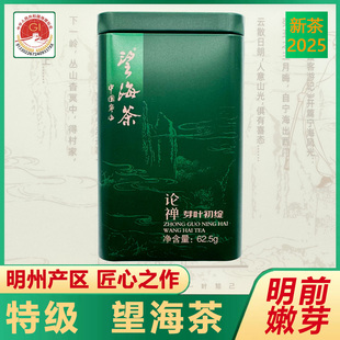 特级望海茶2025年明前新62.5克铁罐装茶农场直销宁海特产绿茶叶
