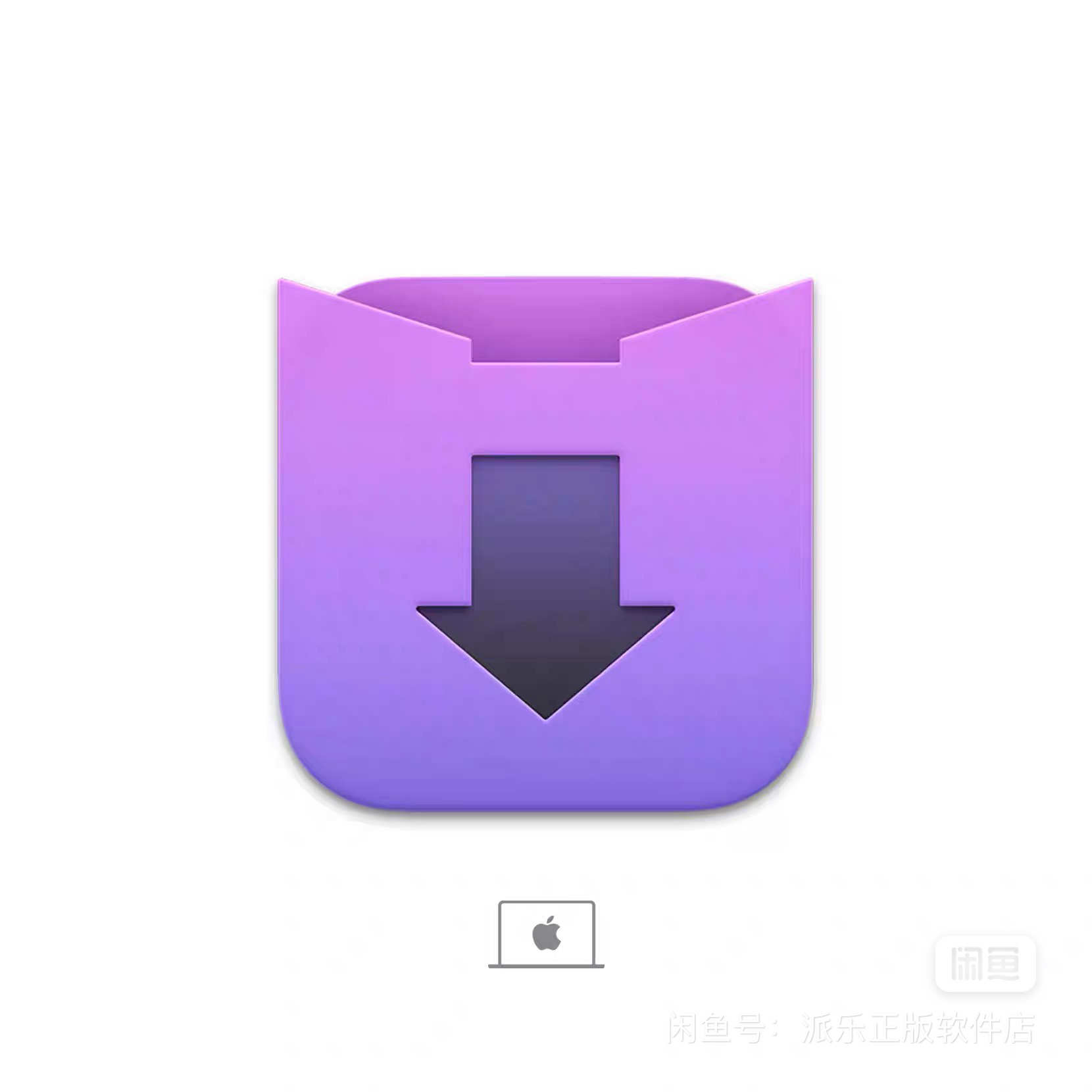 downie苹果专用视频音频下载器服务远程安装服务教学包教会