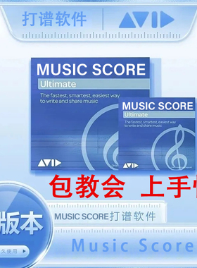 西贝柳斯打谱软件打谱制谱服务staffpad远程安装服务教学包教会