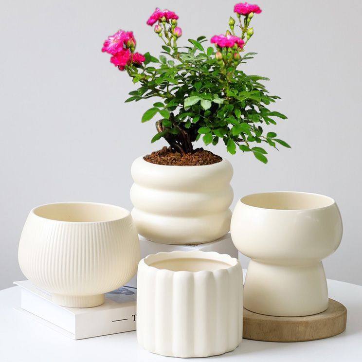 简约ins风绿植陶瓷花盆北欧家用奶油风玫瑰蝴蝶兰多肉盆绿植盆栽,鲜花速递/花卉仿真/绿植园艺,花盆,淘宝优惠券,粉丝福利购,淘宝优惠卷