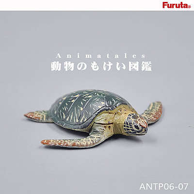 国外海龟拼插模型动物