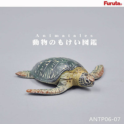 国外海龟拼插模型动物