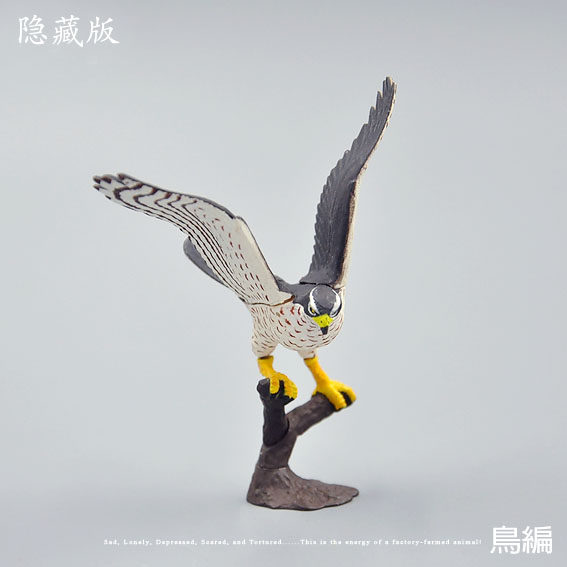 【绝品】日本正版扭蛋 白眉鹞鹰 拼插玩具 仿真鸟类 10cm