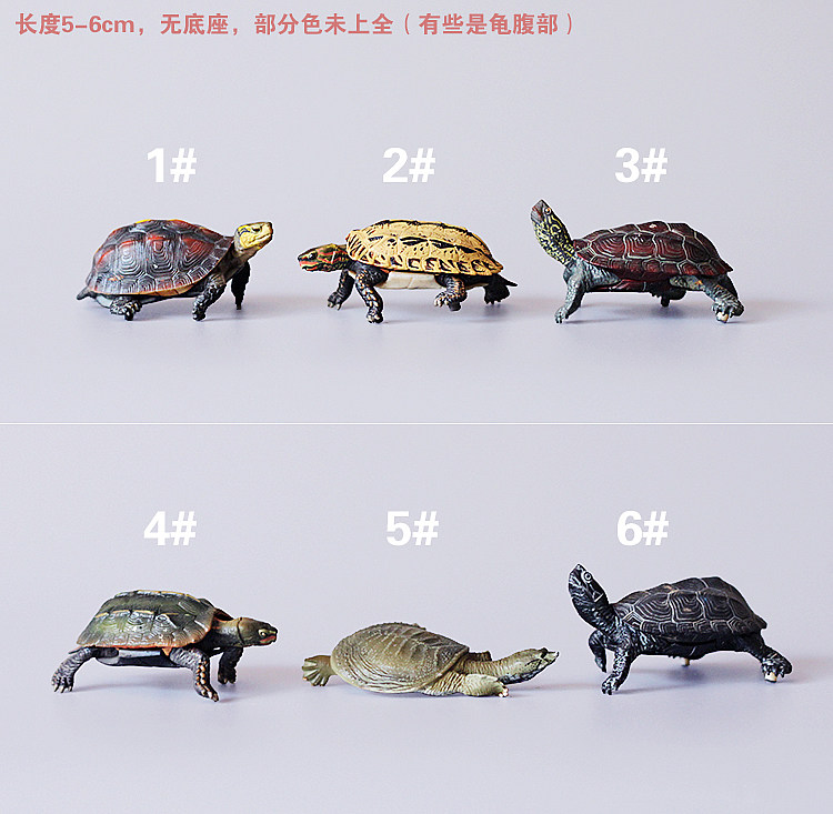 日本正版散货 仿真龟类动物玩具 日本甲鱼拟真龟类公仔手办摆件