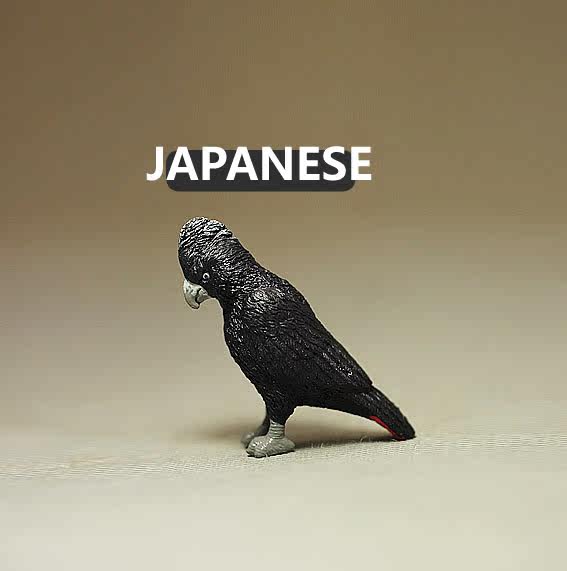 澳洲进口自然与科学出品黑色刚果灰鹦鹉 巨型鹦鹉 6.5厘米 做工细