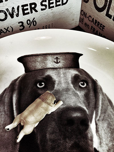 日本进口超级细腻正品小狗睡觉姿势冰箱磁贴 可吸附铁质面 1枚价