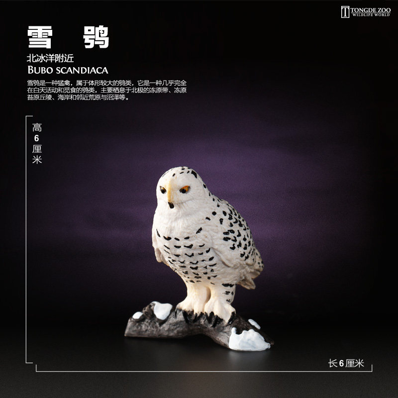 美国 仿真鸟类模型 白色猫头鹰 飞行动物摆件