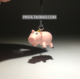 挂绳挂件挂饰 火腿猪玩具公仔 美国进口玩具大集合手机链 Q版