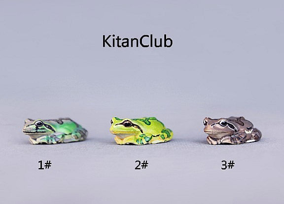 宅客模玩日本正版彩蛙动物模型