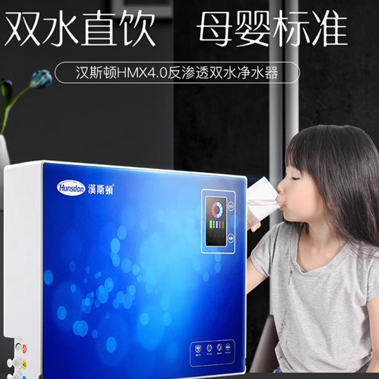 汉斯顿净水器家用直饮厨房自来水纯水机ro反渗透净水机HSD-75G-07