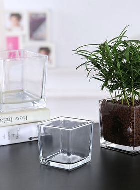 植物透明绿萝正方形容器水培花盆