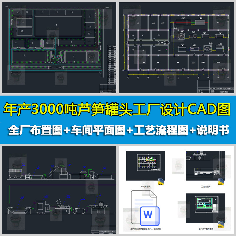 年产3000吨芦笋罐头工厂总平设计素材/源文件