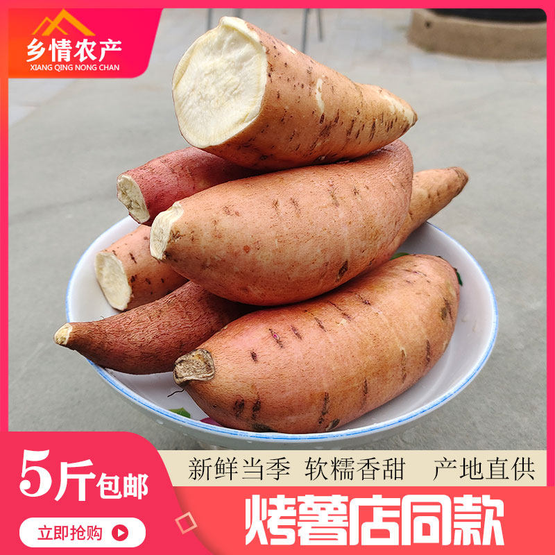 榆林香蕉薯榆林黄皮黄心白心红薯绥德当季大果富硒新鲜掏菜菜5斤