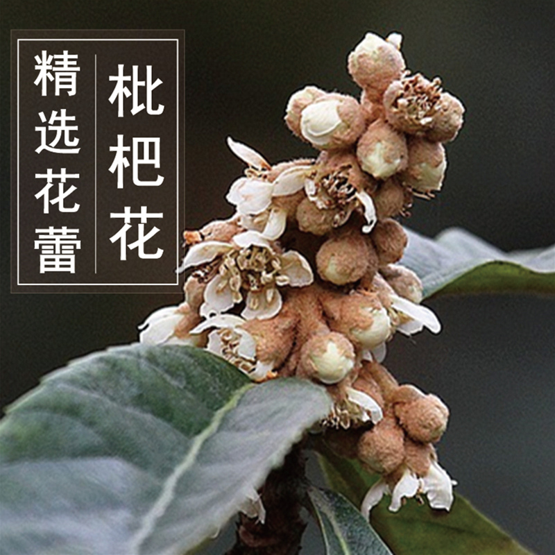 纯天然特级枇杷花茶琵琶花干花蕾茶250g教师润喉孕妇儿童化痰雾霾|ruв категории традиционные питательный пища, гомологический продовольствия, медикаментов и продовольствия, съедобные продукты других наркотиков - от Buy2taobao.com для оказания профессиональной услуги покупки агента Taobao