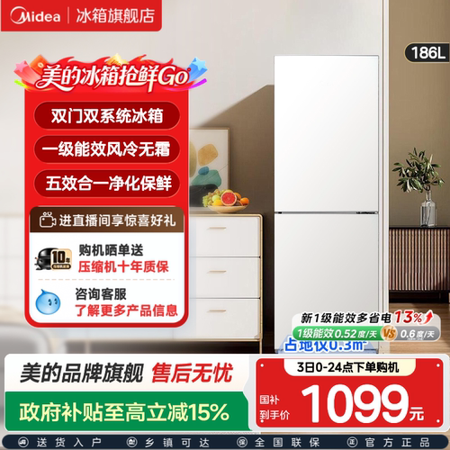 风冷无霜小冰箱一级能效节能省电