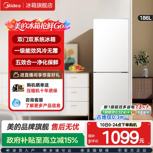 风冷无霜小冰箱一级能效节能省电