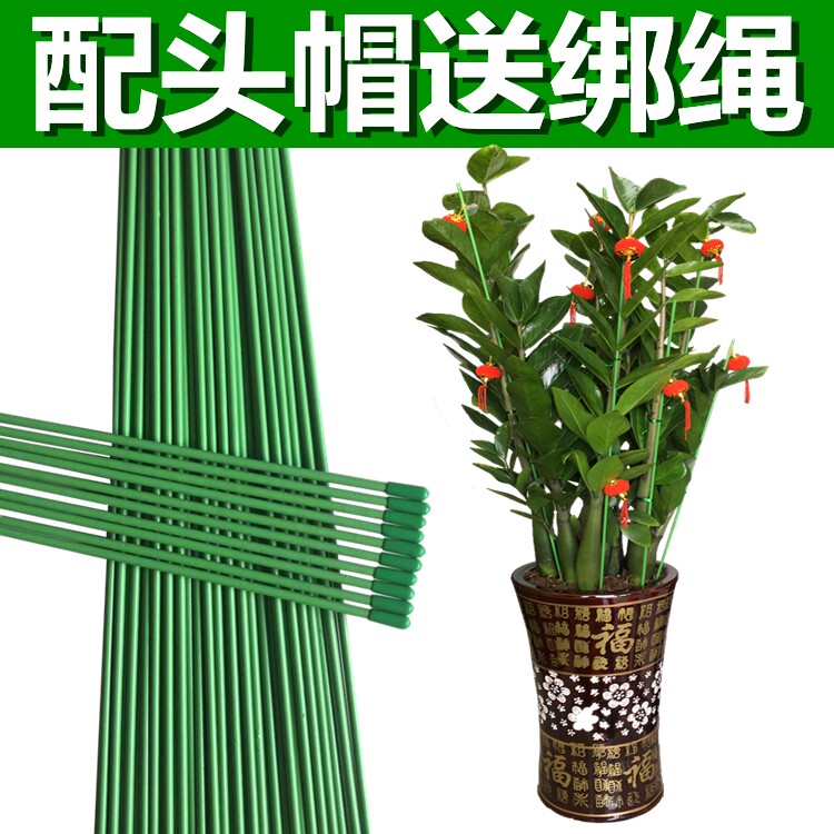 花卉植物定型柱绑花用软铁丝文竹百合花马蹄莲防倒支撑杆绿色棍子怎么样,好用不?