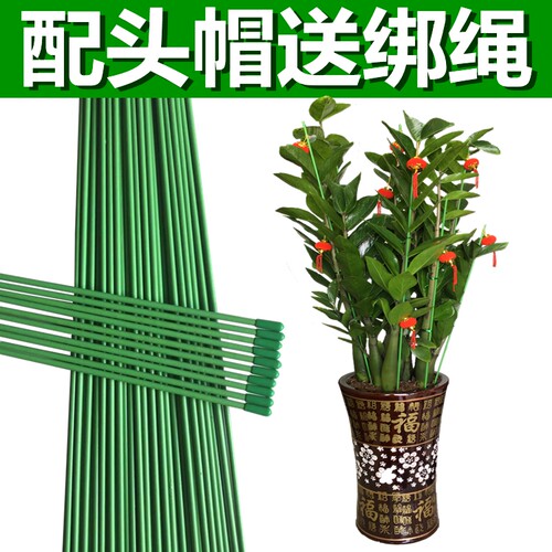 花卉植物定型柱绑花用软铁丝文竹百合花马蹄莲防倒支撑杆绿色棍子
