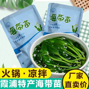 霞浦海带苗特级新鲜海带芽盐渍嫩苗凉拌菜裙带菜火锅商用火锅食材