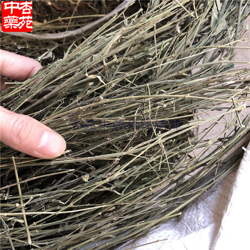 赶黄草水杨柳中药材包邮